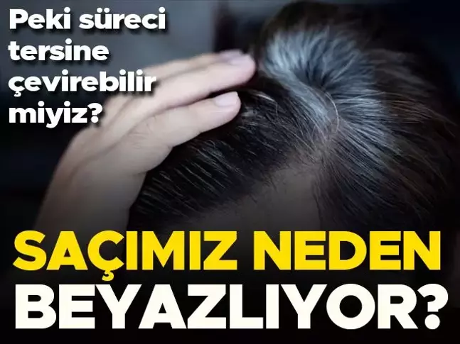 Saçların beyazlaması yaşlanmanın en göze çarpan belirtilerinden biri. Birçok kişi