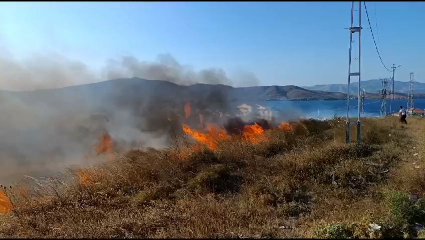 Balıkesir Avşa adasında arazi yangını yürekleri ağıza getirdi Balıkesir’in Marmara adalar ilçesine bağlı Avşa adasında iki farklı yerde