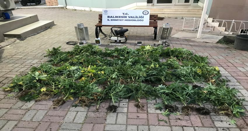 Bandırma Asayiş ekiplerinden uyuşturucuya geçit yok Balıkesir’in Bandırma ilçesinde İlçe Emniyet Müdürlüğü Asayiş Büro Amirliği ekipleri,