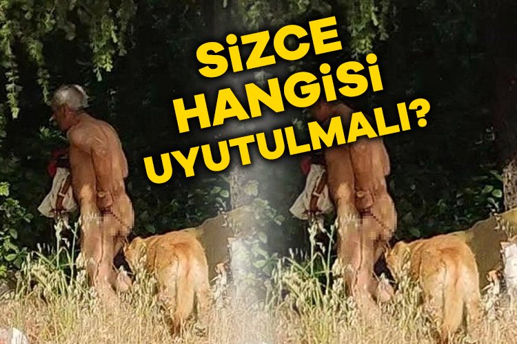 Köpek istismarı görüntülendi! İstanbul Florya’da bir şahsın köpeği istismar ettiği iddia edildi. Sosyal