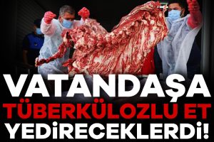 Adıyaman’da ele geçirilen etler vatandaşların sağlığının nasıl görmezden gelindiğini gözler