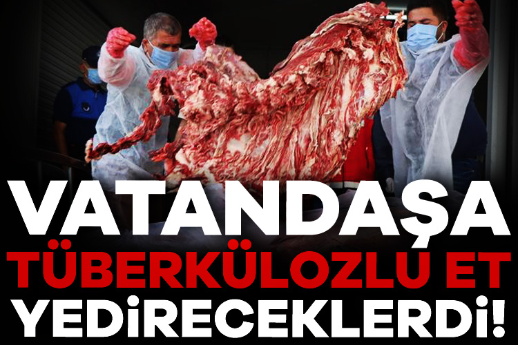 Piyasaya sürülmek istenen hastalıklı etler son anda ele geçirildi Adıyaman’da ele geçirilen etler vatandaşların sağlığının nasıl görmezden gelindiğini gözler