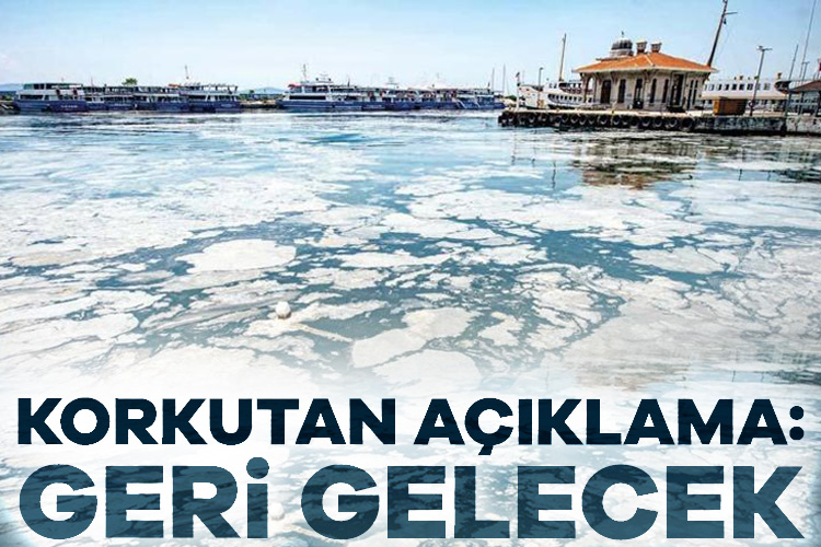Prof. Dr. Mustafa Sarı uyardı: Müsilaj geri gelecek Marmara Denizi’ne düzenli aralıklarla dalış gerçekleştiren Prof. Dr. Mustafa Sarı,