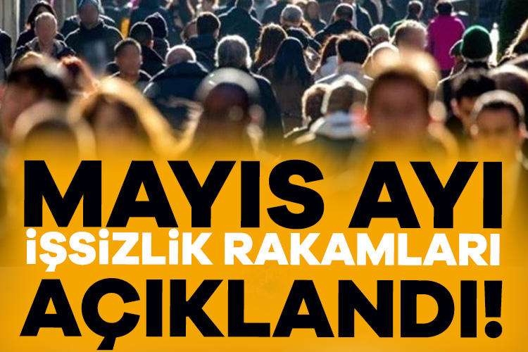 TÜİK tarafından Türkiye’nin mayıs ayı işsizlik oranı ve istihdam verileri