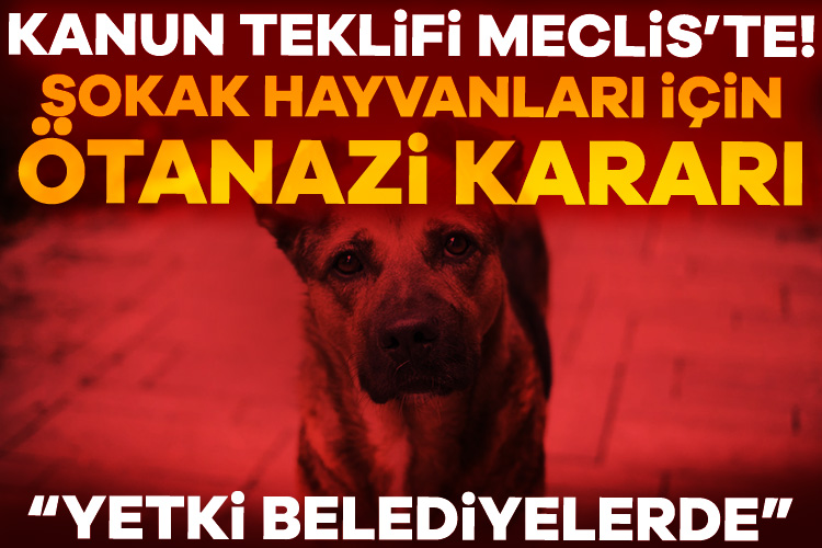 Sahipsiz hayvanlara yönelik düzenlemeler içeren Hayvanları Koruma Kanunu’nda Değişiklik Yapılmasına