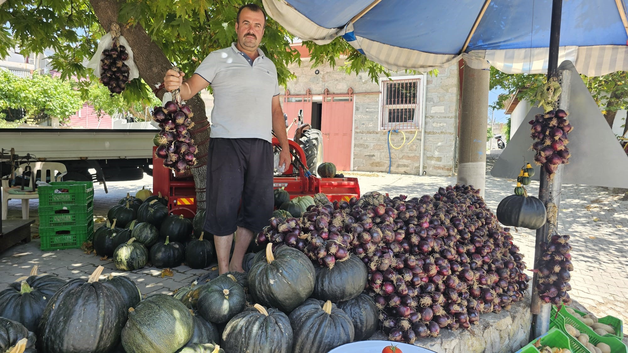 Kapıdağ mor soğanı tezgahlarda yerini aldı Balıkesir’in Erdek İlçesinde, Coğrafi İşareti bulunan ‘Kapıdağ Mor Soğanı’, temmuz