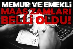 Memur ve emeklilerin 2024 Temmuz’da alacağı maaş zamları belli oldu.