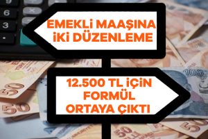 SSK 2000 sonrası ve Bağ-Kur tarım emeklisi sıfır zam almıştı!