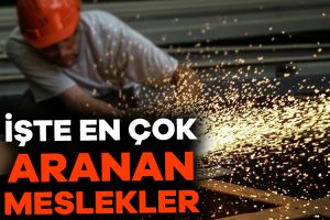Türkiye İş Kurumu, en fazla aranan meslekleri açıkladı. Raporda 270