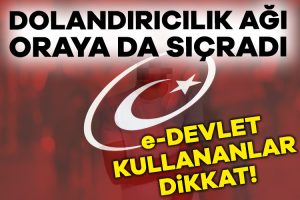 e-Devlet’i kopyalayıp dolandırıcılık yapan şebekeye Diyarbakır merkezli 7 kentte operasyon