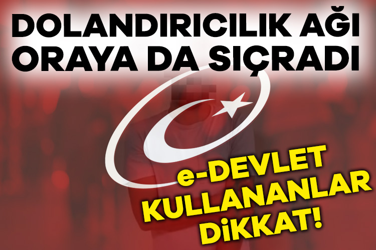 e-Devlet’i kopyalayıp dolandırıcılık yapan şebekeye Diyarbakır merkezli 7 kentte operasyon