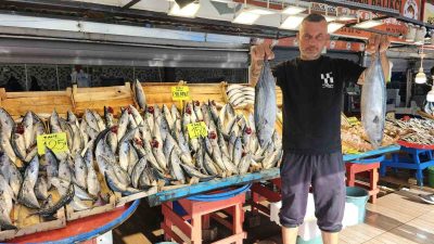 Balıkesir’in Bandırma ilçesinde, av yasağının kalkmasıyla birlikte 29 günde Bandırma