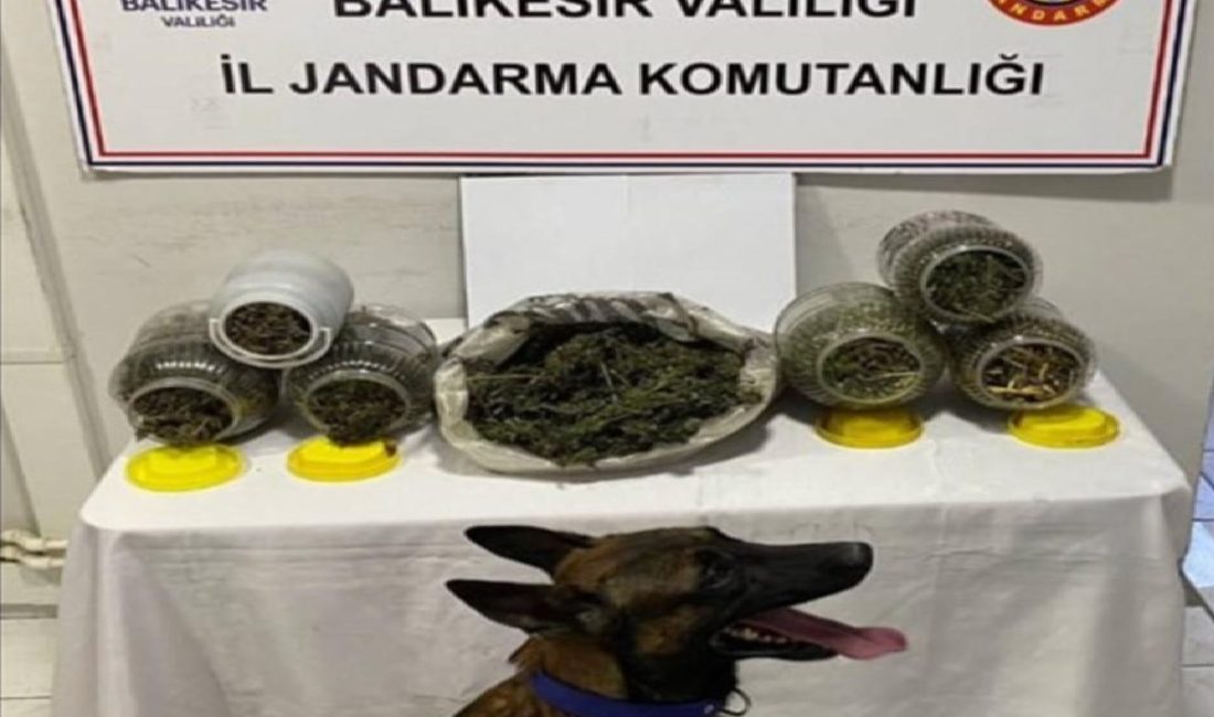 Balıkesir’de uyuşturucu operasyonu: 6 kişi yakalandı Balıkesir İl Jandarma Komutanlığınca, uyuşturucu madde imal ticareti suçlarına yönelik