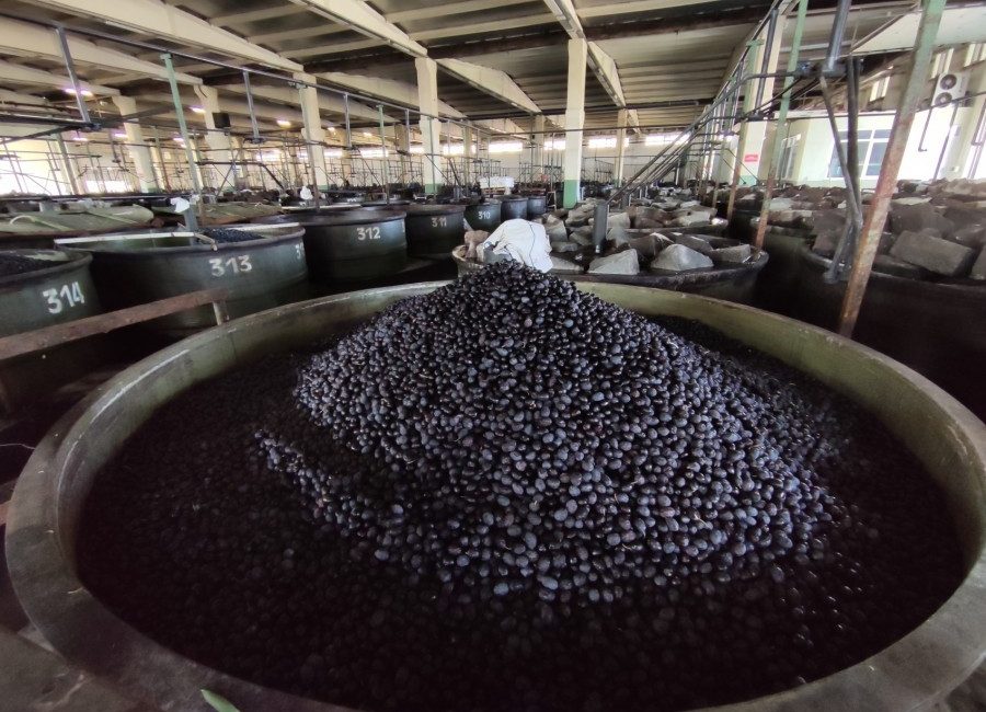 Marmarabirlik’ten Yoğun Rekolte Beyanı Yaklaşan zeytin hasat sezonu öncesi zeytin piyasasının en büyük işletmecisi