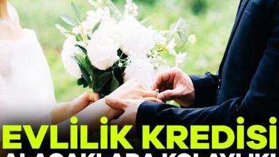 Aile ve Sosyal Hizmetler Bakanlığı, Aile ve Gençlik Fonu Projesi