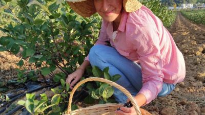 Balıkesir'in Erdek ilçesi Karşıyaka Mahallesi'nde yaşayan bir kadın girişimci, kendi