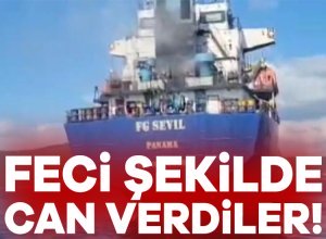 Marmara Denizi Sedef Adası açıklarında FG SEVİL isimli geminin makine