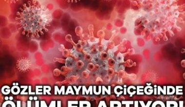 Afrika Birliği Hastalık Kontrol ve Önleme Merkezi (Africa CDC), kıta