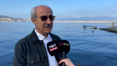 Bandırma Onyedi Eylül Üniversitesi Denizcilik Fakültesi Öğretim Üyesi Prof. Dr.