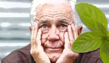 Bilim insanları fareler üstünde yaptıkları bir deneyle alzheimer hastalığına çare