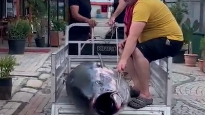 Balıkesir'in Erdek ilçesinde unutulmaz bir balıkçılık başarısına imza atıldı. Denizlerin