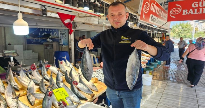 Palamut irileşti, fiyatı yüz güldürdü 40 gün önce av yasağı kalkan denizlerde balık bolluğu yaşanmaya