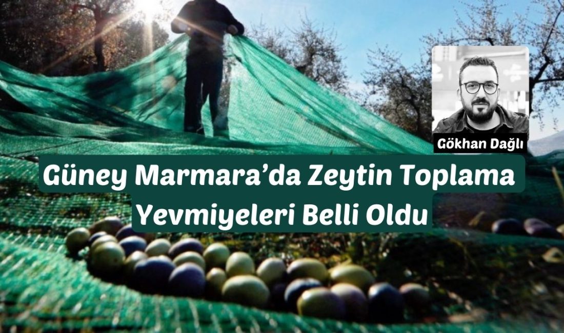 Bandırma’da Zeytin Toplama Yevmiyeleri Belli Oldu Yaklaşan zeytin hasadı öncesi bir araya gelen Bandırma Ziraat Odası