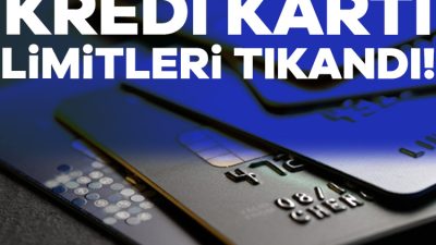 Bu yılın ilk 6 ayında kredi ve kredi borcu nedeniyle