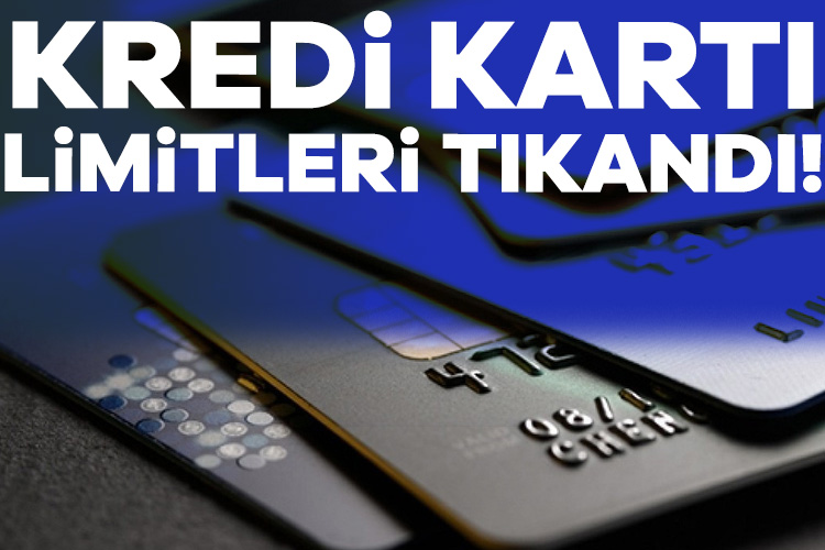 Bu yılın ilk 6 ayında kredi ve kredi borcu nedeniyle