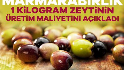 2024-2025 yılı ürün alım kampanyası rekolte beyanlarının sonuna yaklaşıldığı Marmarabirlik'te,