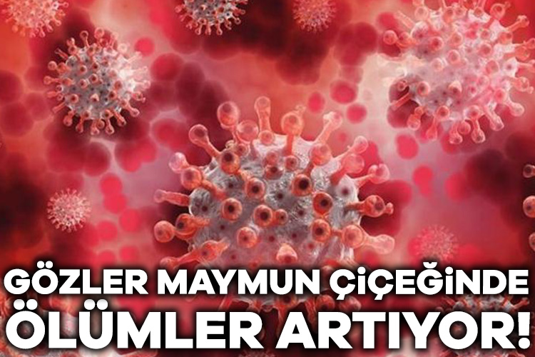 Afrika Birliği Hastalık Kontrol ve Önleme Merkezi (Africa CDC), kıta