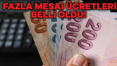 2025 yılı Merkezi Yönetim Bütçe Kanunu Teklifi'nin ardından devlet memurlarının