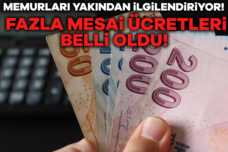 2025 yılı Merkezi Yönetim Bütçe Kanunu Teklifi'nin ardından devlet memurlarının