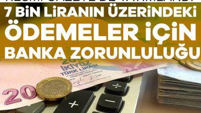 Hazine ve Maliye Bakanlığı'nın 7 bin liranın üzerindeki tahsilat ve