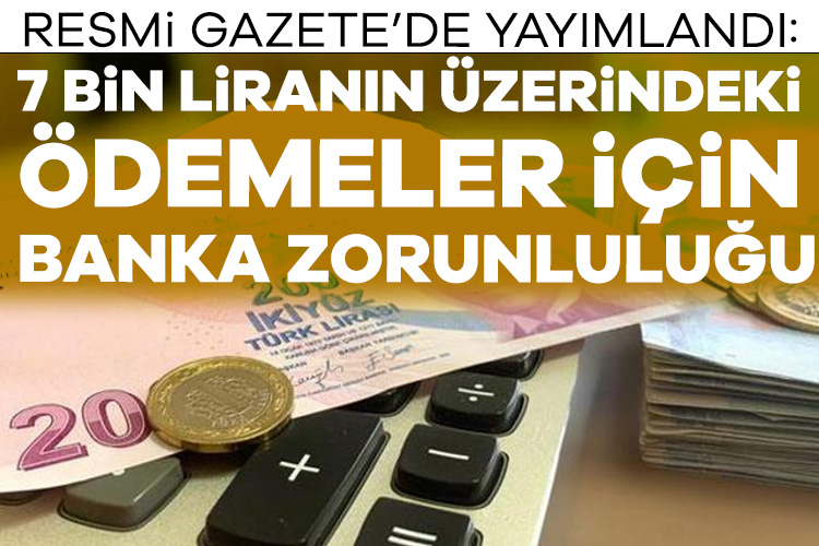 Hazine ve Maliye Bakanlığı'nın 7 bin liranın üzerindeki tahsilat ve