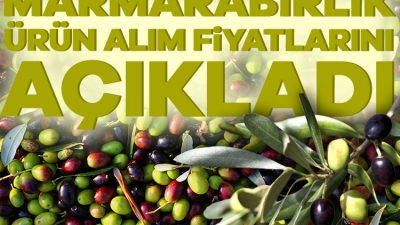 Marmarabirlik, 2024/2025 iş yılı ürün alım kampanyası avans ürün alım