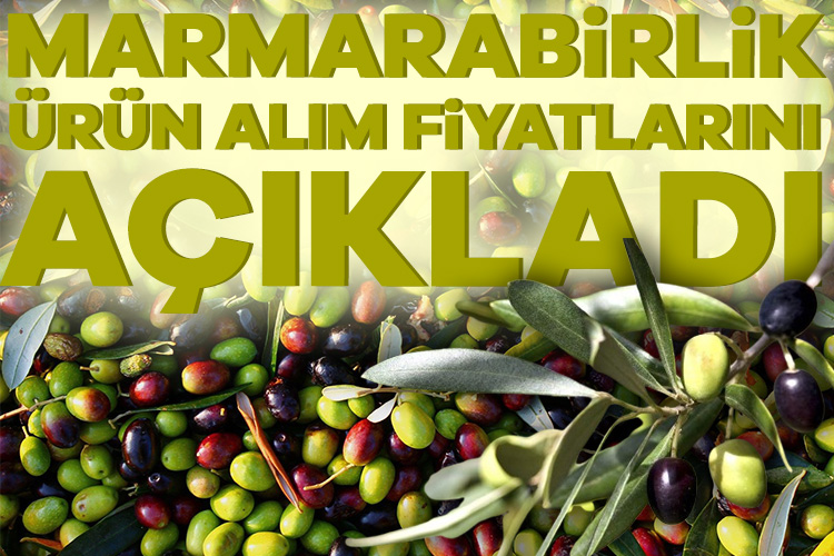Marmarabirlik, 2024/2025 iş yılı ürün alım kampanyası avans ürün alım