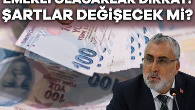 Çalışma ve Sosyal Güvenlik Bakanı Vedat Işıkhan, "Emeklilik sistemiyle ilgili