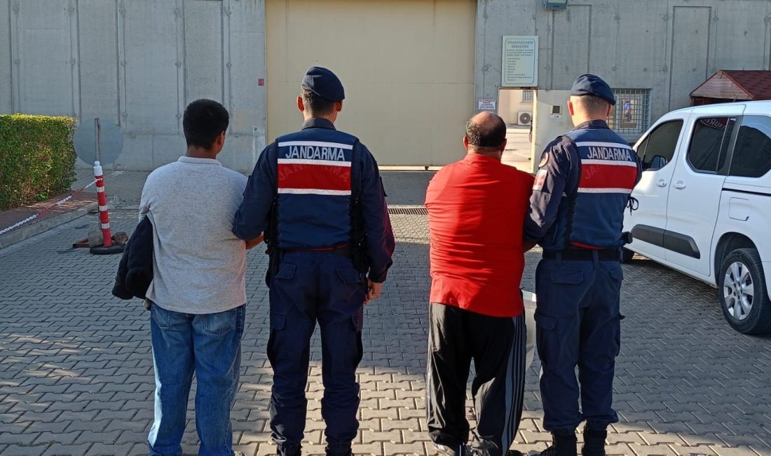 Balıkesir'in Edremit ilçesinde jandarma tarafından yapılan çalışmada zeytin hırsızlığı yapan