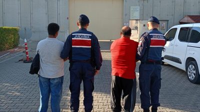 Balıkesir'in Edremit ilçesinde jandarma tarafından yapılan çalışmada zeytin hırsızlığı yapan