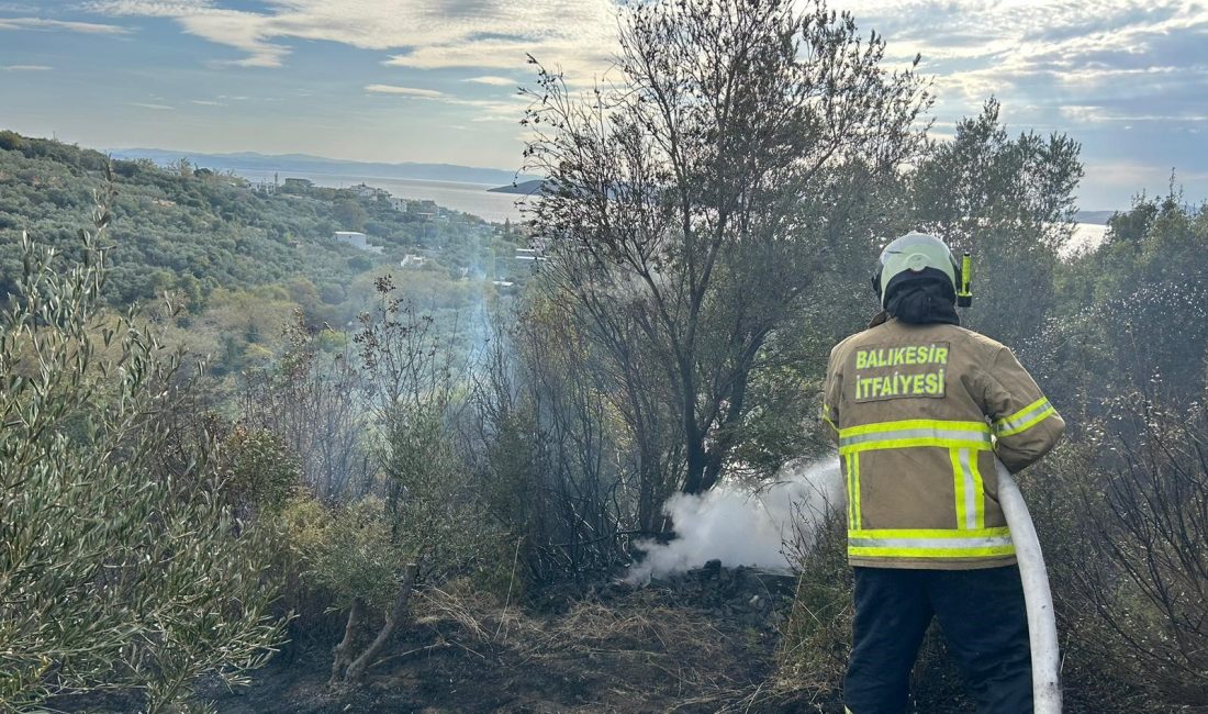 Balıkesir'in Erdek ilçesine çıkan orman yangını, ekiplerin havadan ve karadan