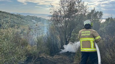 Balıkesir'in Erdek ilçesine çıkan orman yangını, ekiplerin havadan ve karadan