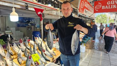40 gün önce av yasağı kalkan denizlerde balık bolluğu yaşanmaya