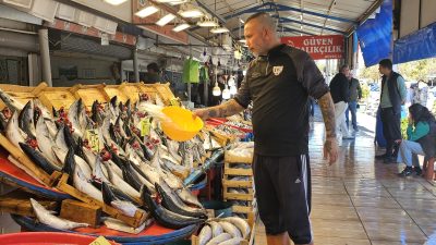 Balıkesir Bandırma Balık Hali'nde adeta palamut bayramı yaşanıyor.