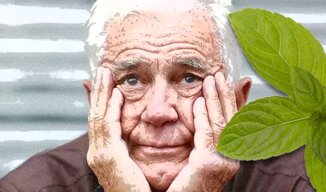 Bilim insanları fareler üstünde yaptıkları bir deneyle alzheimer hastalığına çare