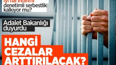 Kadına ve çocuğa yönelik şiddet olaylarının ardından Adalet Bakanlığı, çalışmasını