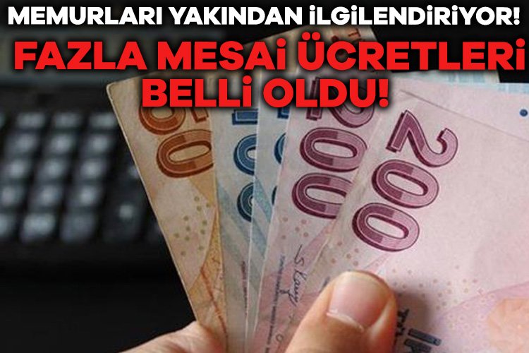 2025 yılı Merkezi Yönetim Bütçe Kanunu Teklifi'nin ardından devlet memurlarının