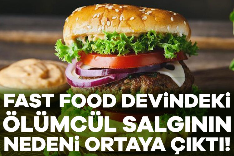 Ölümcül McDonald’s salgınının nedeni ortaya çıktı ABD sağlık yetkilileri, McDonald's restoranlarında kullanılan doğranmış taze soğanların, 90