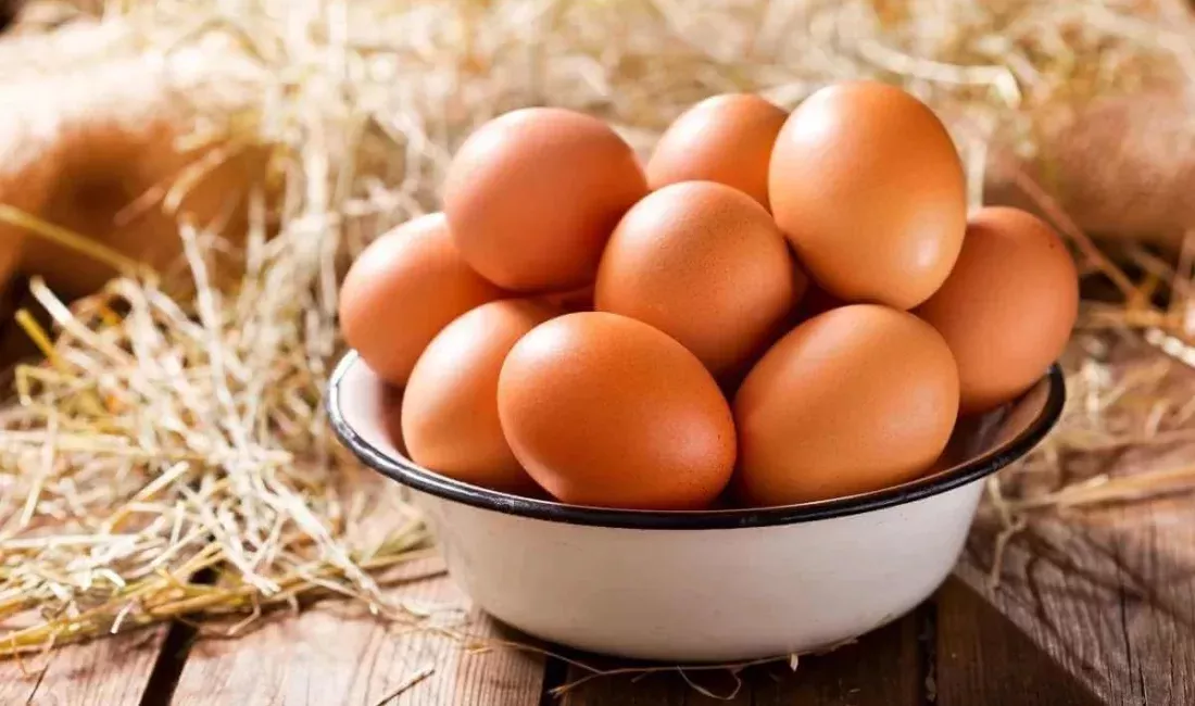 Uzmanlar, yumurtanın hem gelişmiş hem de gelişmekte olan ülkelerde temel