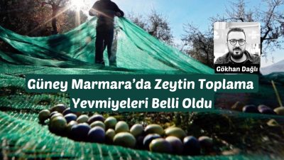 Yaklaşan zeytin hasadı öncesi bir araya gelen Bandırma Ziraat Odası
